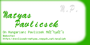 matyas pavlicsek business card